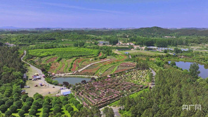 观音村风貌（央广网发  十里街道供图）