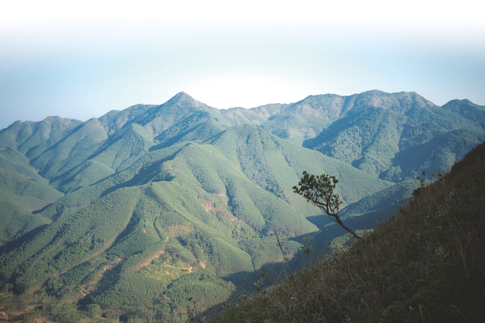     武鸣大回山景色优美。