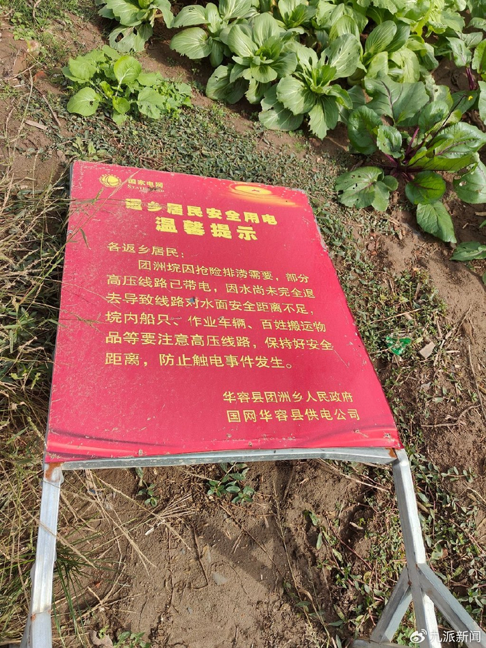 村民种的菜地附近，一块返乡居民安全用电提示牌。图/九派新闻武菲菲