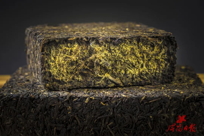 泾阳茯茶。（资料图）