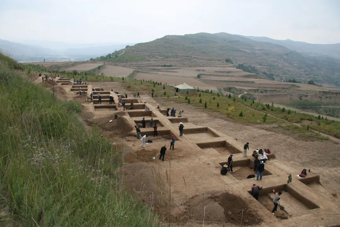 大堡子山考古现场。