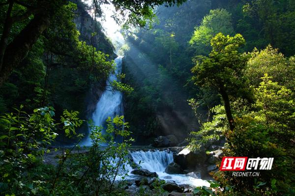 神农谷国家森林公园。（株洲市文旅广体局供图）