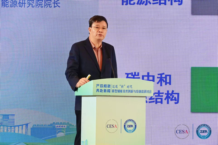 中国科学院院士、南方科技大学碳中和能源研究院院长赵天寿