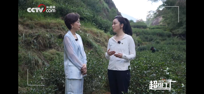 图为八马茶业品牌推广大使王佳佳向央视网主持人常婷介绍武夷岩茶产区 