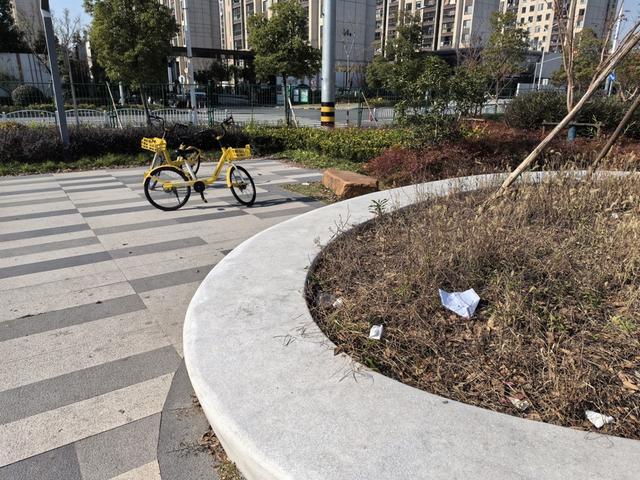 图上远处，共享单车停在了公共绿地内；近处，花坛里可见不少垃圾。