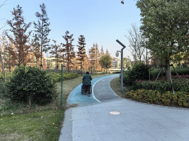 顾村体育馆北侧绿地的最东端，用于封闭公共绿地的铁丝围栏开出了缺口。图为一对老人正由缺口处进入公共绿地休闲。