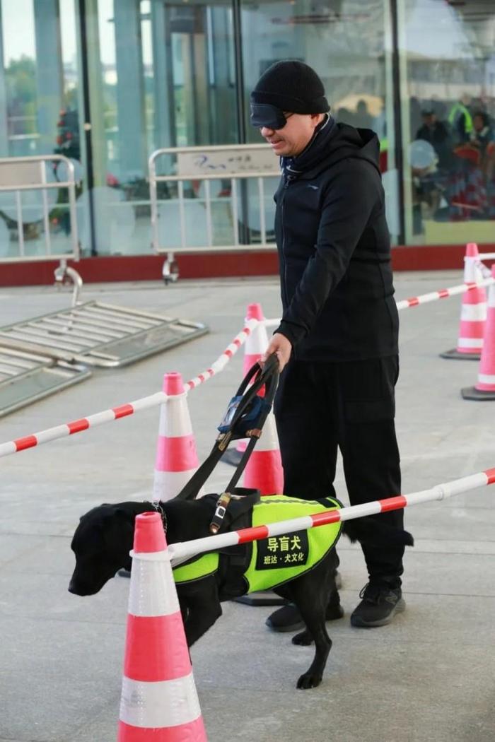 这次不一样的体验不仅增进了人们对导盲犬工作的理解和尊重，也传递了关爱与包容的正能量。