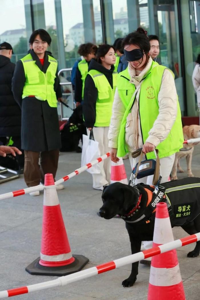 这次不一样的体验不仅增进了人们对导盲犬工作的理解和尊重，也传递了关爱与包容的正能量。