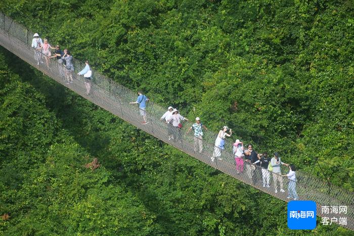 资料图：游客在亚龙湾热带天堂森林旅游区参观游览。通讯员 黄庆优摄