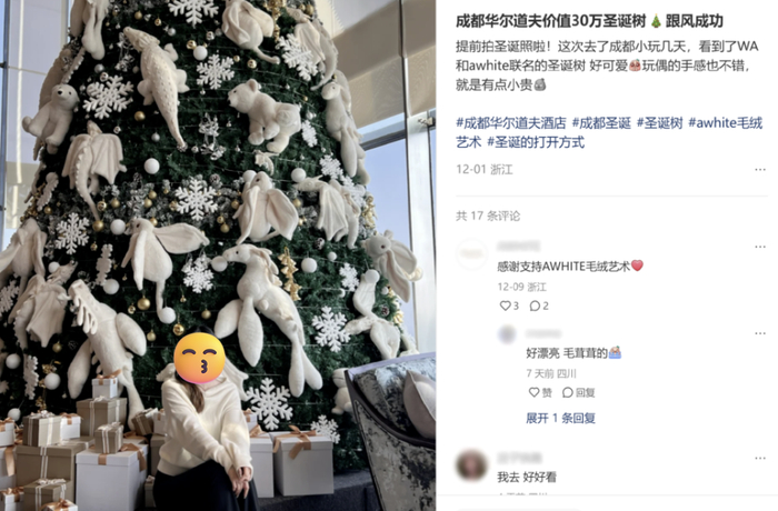 图源：小红书@it's catherine