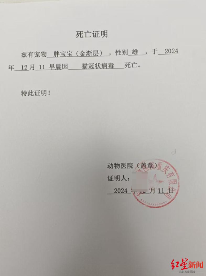 　　▲宠物医院出具的死亡证明 图据受访者