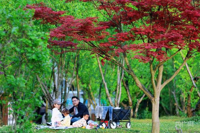 市民在贵阳花溪公园拂草而坐（央广网记者 栾小琳 摄）