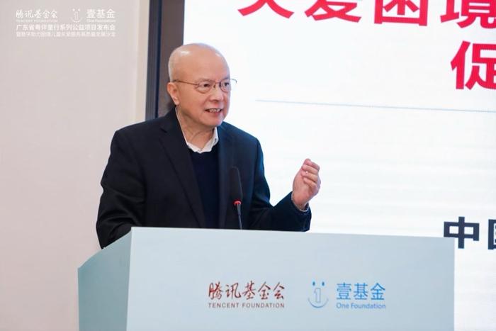 图说：中国发展研究基金会原副理事长卢迈在发布会上发言。