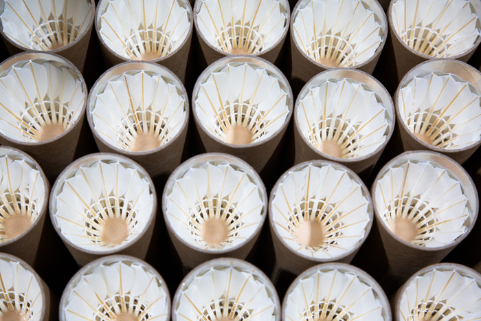 麻鸭羽毛球有独特的金色羽杆（央广网记者杨正弘摄）