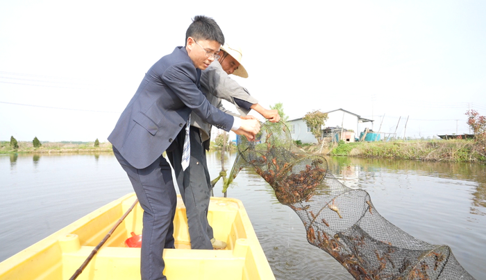 盱眙农商银行工作人员（左）与养殖户一起捞起龙虾。张恩华/摄