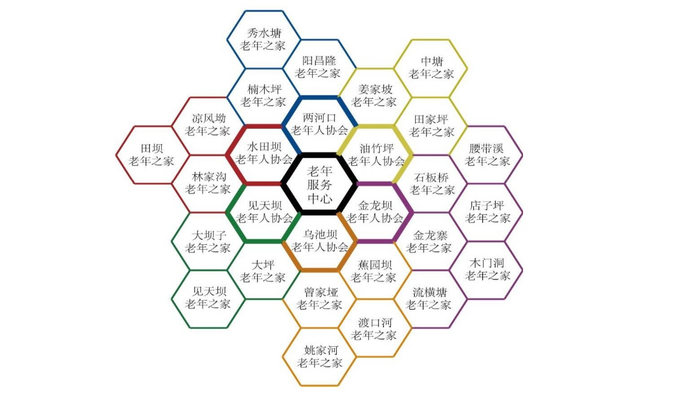 “老年服务中心—老年协会—老年之家”的蜂巢状三级互助养老网络（图源：武汉大学中国乡村治理研究中心）