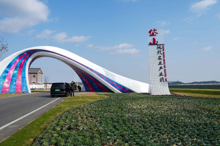 2024年12月4日拍摄的岱山现代农业产业园。新华社记者 周佳谊 摄