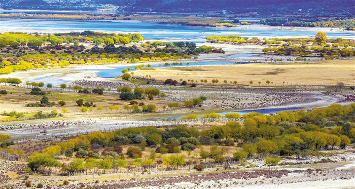 雅尼湿地。通讯员　栾远春　摄