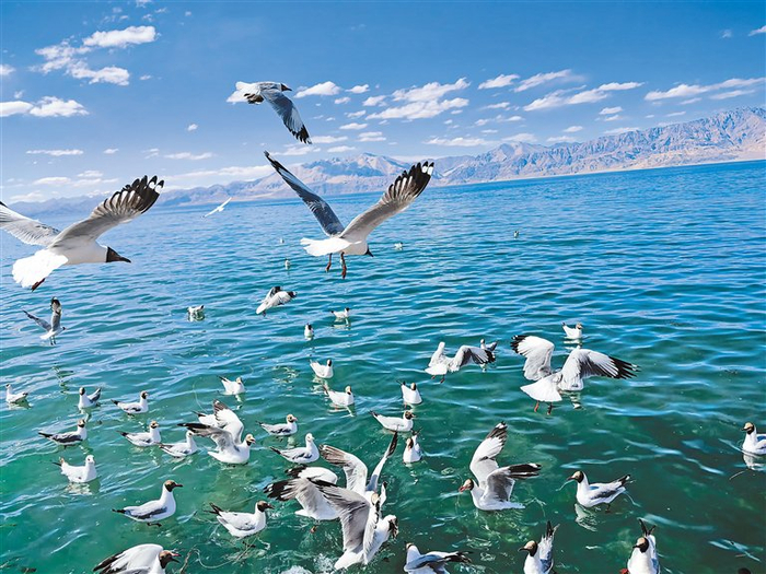 班公湖。经济日报记者　代玲　摄