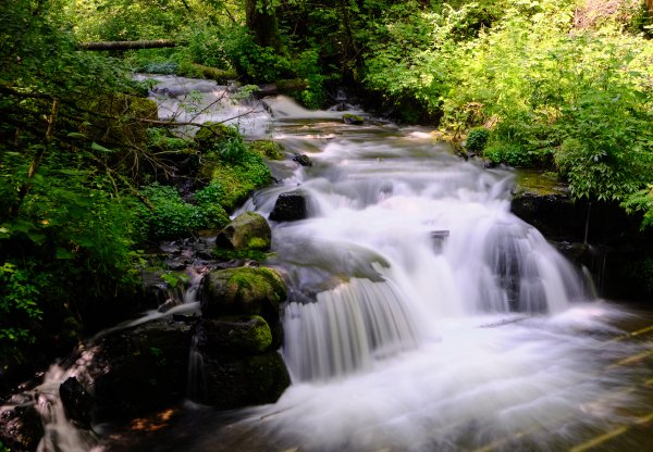 望天鹅风景区 来源/图虫创意