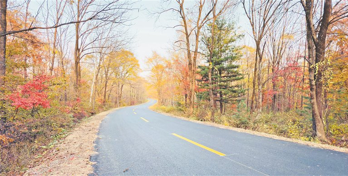 “路在林中行”提升出行体验。资料片