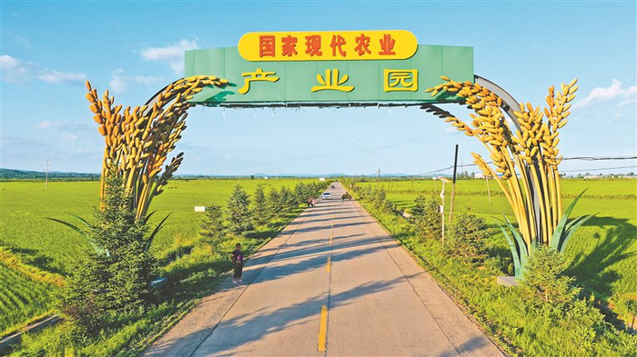 农村公路串起五常现代农业产业园及沿途合作社。资料片