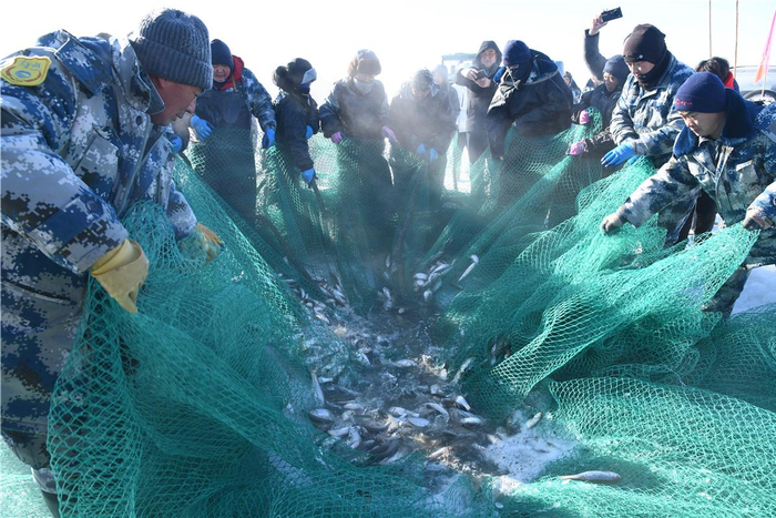 达里湖冬捕现场。