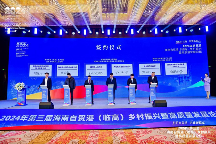 论坛活动现场。主办方供图