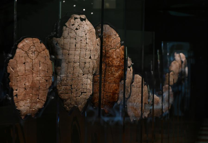 这是在殷墟博物馆新馆拍摄的考古发掘出土的甲骨文骨片（7月1日摄）。新华社记者赵鹏摄