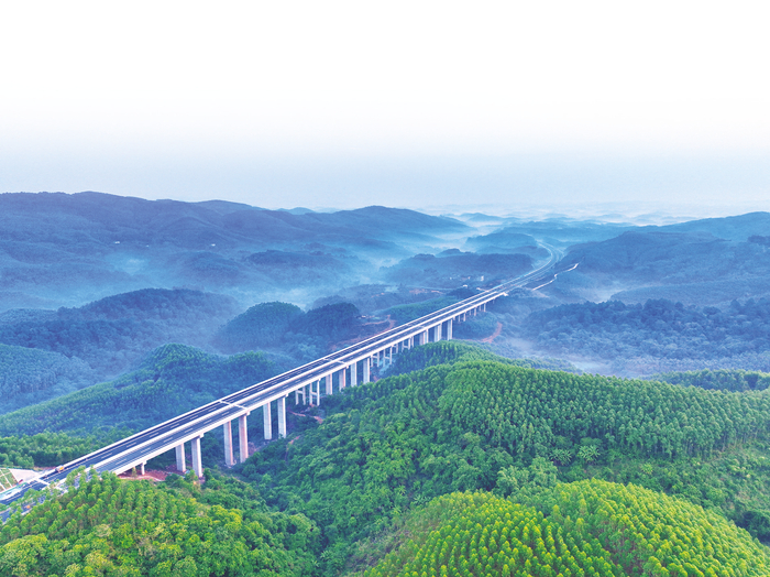     吴上高速一期工程六林大桥。    本报通讯员罗芸婕摄