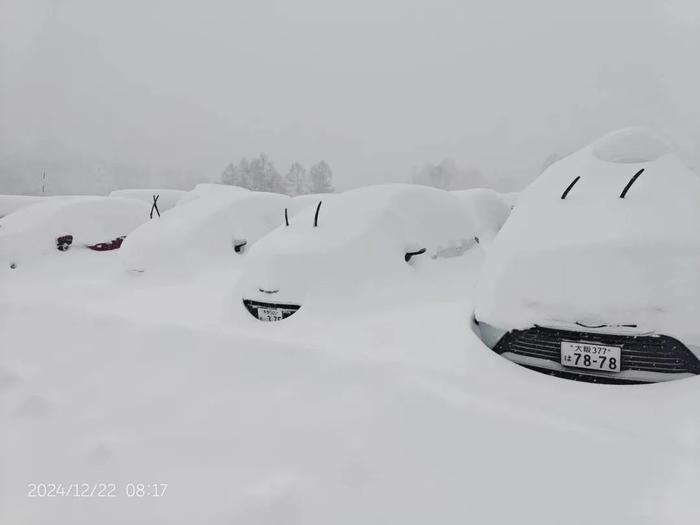 22日早，志贺高原一处停车场内有许多积雪。图源/受访者