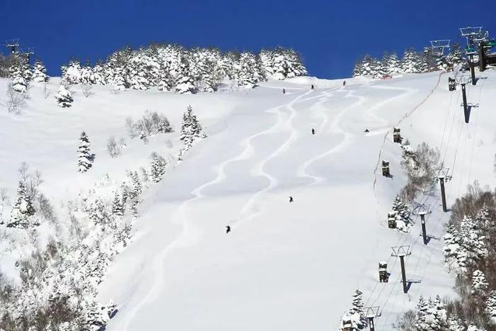 烧额山滑雪场官网有“整座山布满了‘铂金粉雪’”的介绍 图源/烧额山滑雪场官网