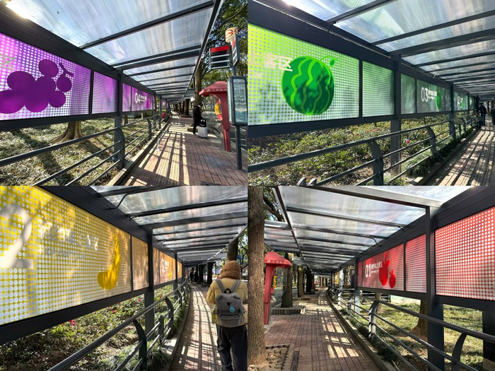 上海南站网约车上客区用水果来区分具体方位