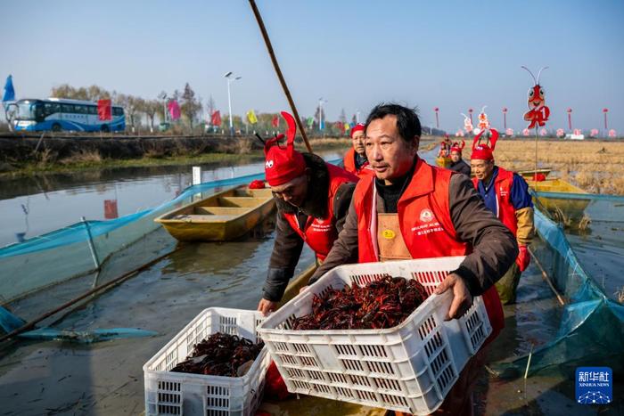 　　12月28日，虾农在湖北潜江后湖虾稻共作立体模式试验示范基地搬运刚捕捞的小龙虾。新华社记者 胡竞文 摄