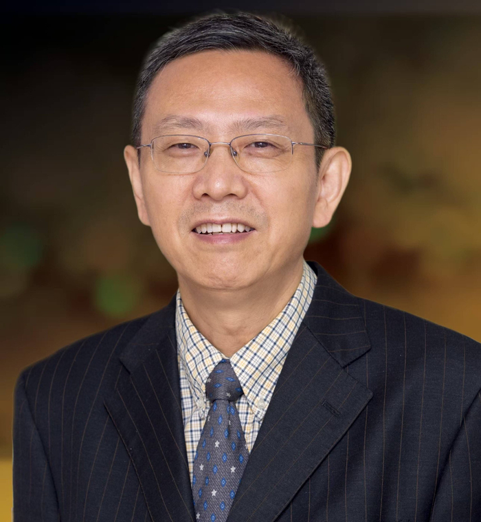 经济学家、华夏新供给经济学研究院创始院长、财政部原财政科学研究所所长 贾康