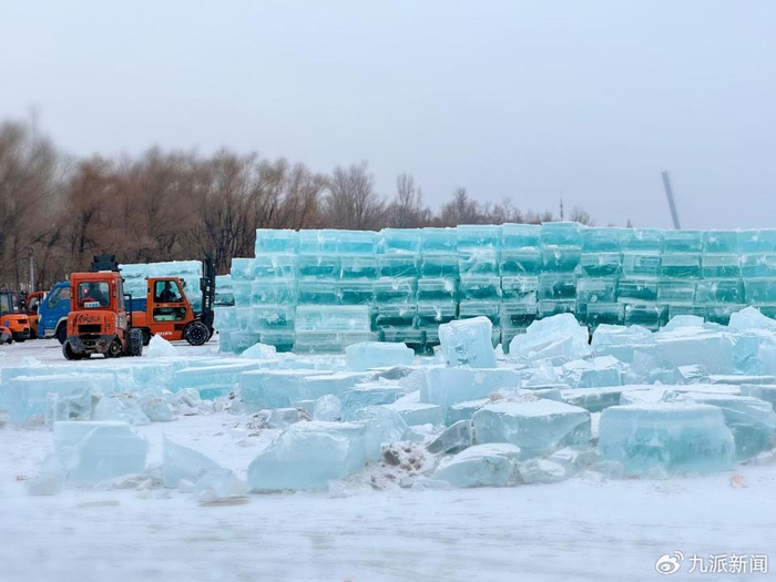 松花江畔，采冰队采上来的冰块，它们是冰雕作品的原材料。　图/九派新闻　杨臻