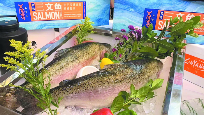 “青海三文鱼”公共品牌正式发布。本报记者 谭梅 摄