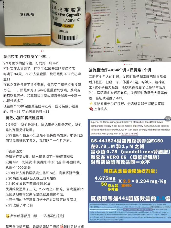 图片来自社交媒体截图