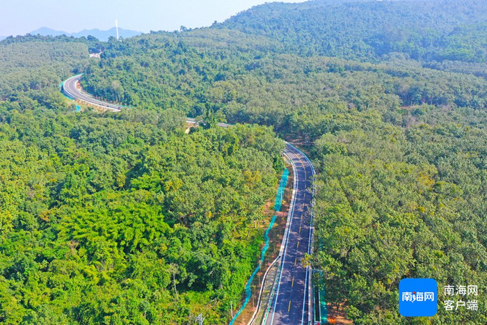 环热带雨林国家公园旅游公路白沙段。记者 汪承贤 摄
