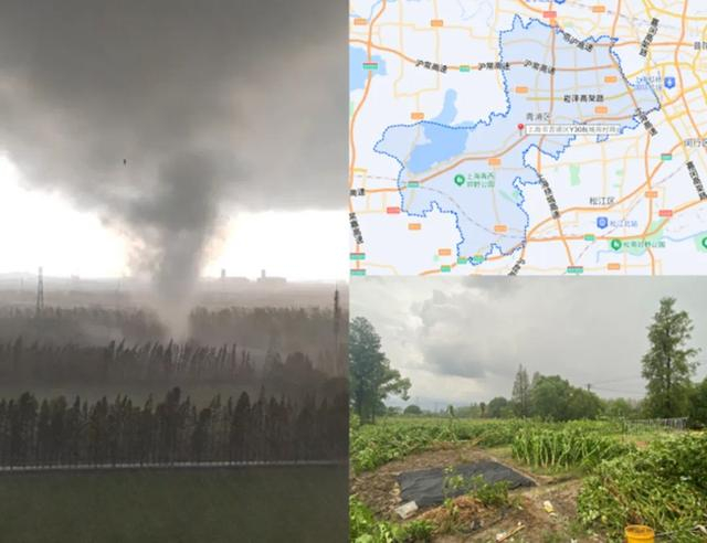 图源上海市气候中心