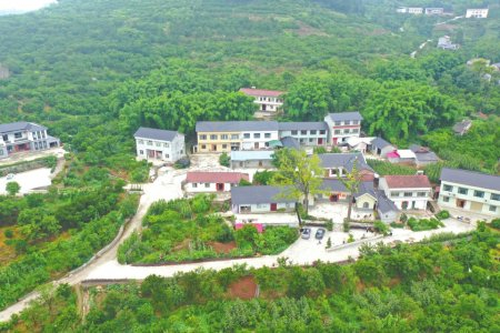 资中县铁佛镇柏龙社区橙果百户大院航拍。黄晓庆摄