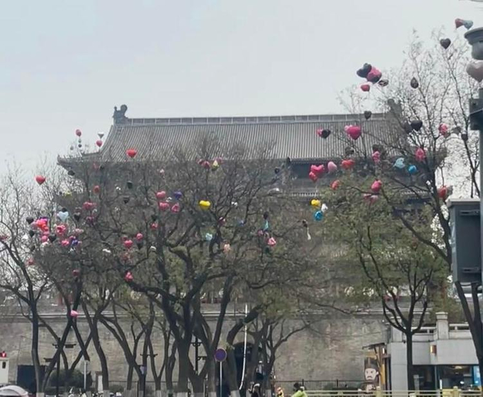 西安的气球树（图据网友）