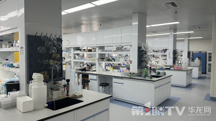 金凤实验室。 第1眼TV-华龙网 曹妤 摄