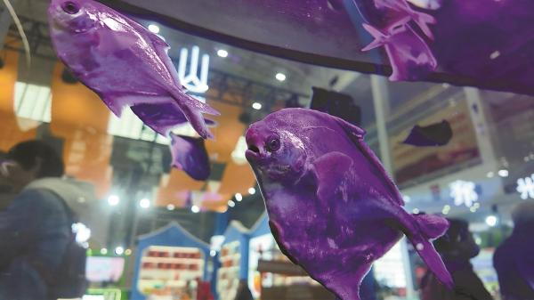 水产活体展示。