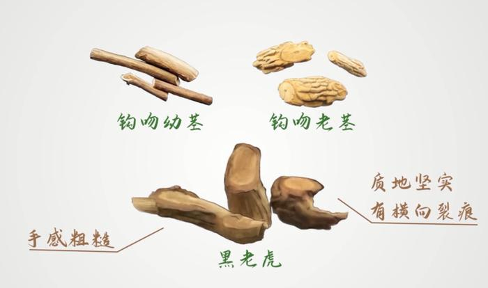 图源：广州日报