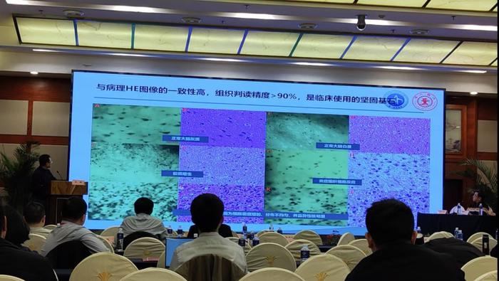 图:西安交通大学第一附属医院神经外科王拓教授在报告中分享EndoSCell®细胞图像