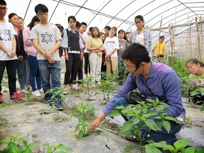 青年教师带领学生进行蔬菜秧苗栽培实践