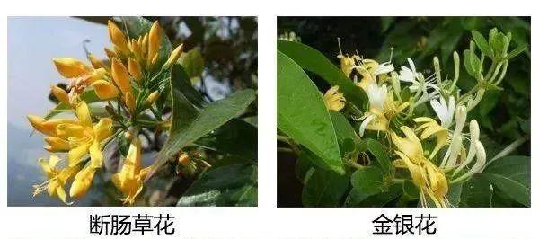 图源：广州日报