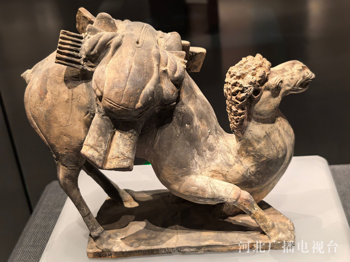 镇馆之宝之一陶骆驼