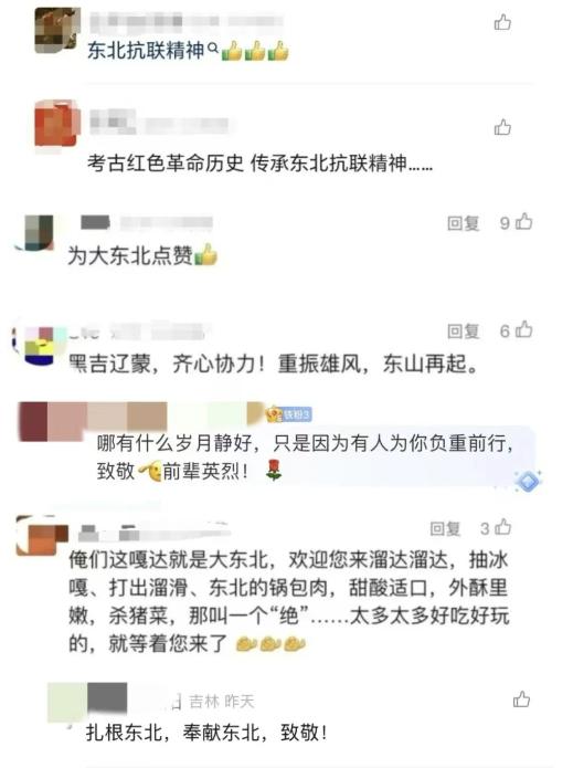 网友评论截图